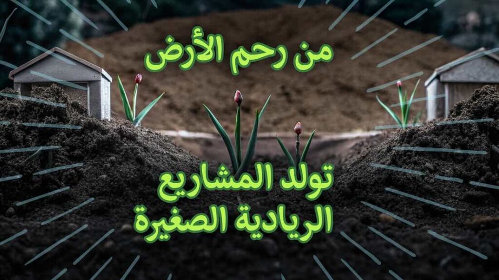 Small entrepreneurial projects are born from the womb of the earth